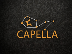 Design de Logo par hrahman25091979 pour ce projet | Design : #9599456