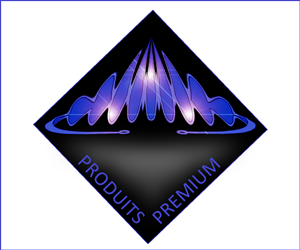 Diseño de Logo por Bronislav Roznos para Duchess Mercantiles Sdn Bhd | Diseño: #2092282