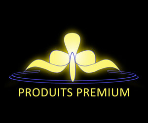 Diseño de Logo por Bronislav Roznos para Duchess Mercantiles Sdn Bhd | Diseño: #2096508