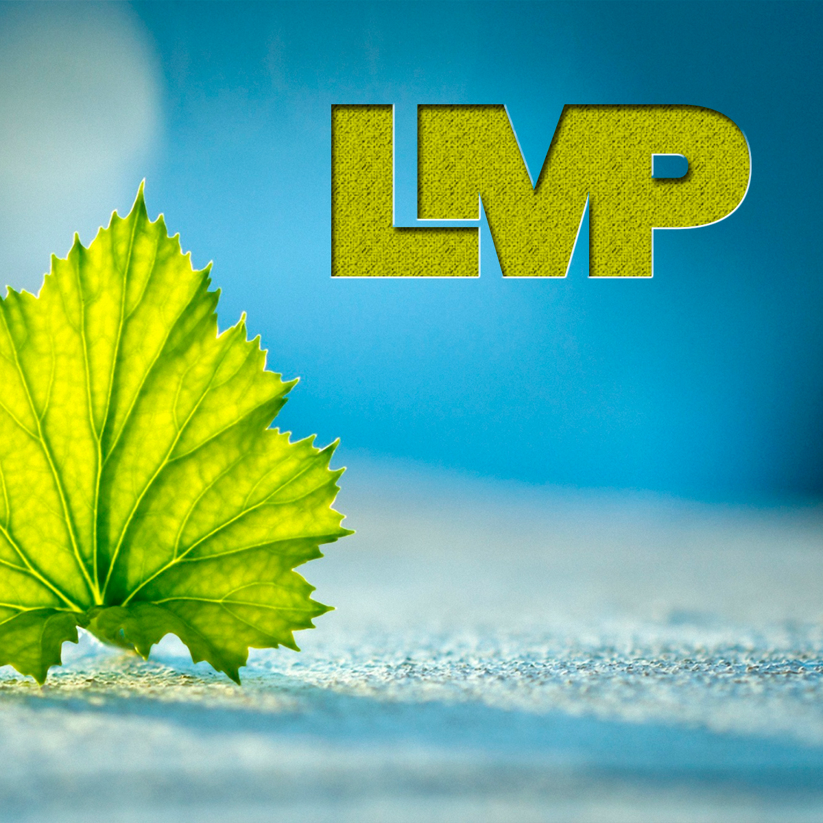 Design de Logo par Artredeco pour ce projet | Design #9801862