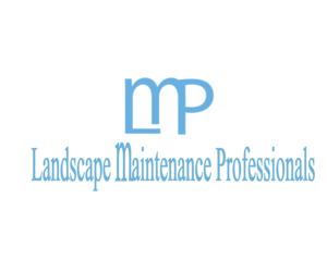 Logo Design by Bolca