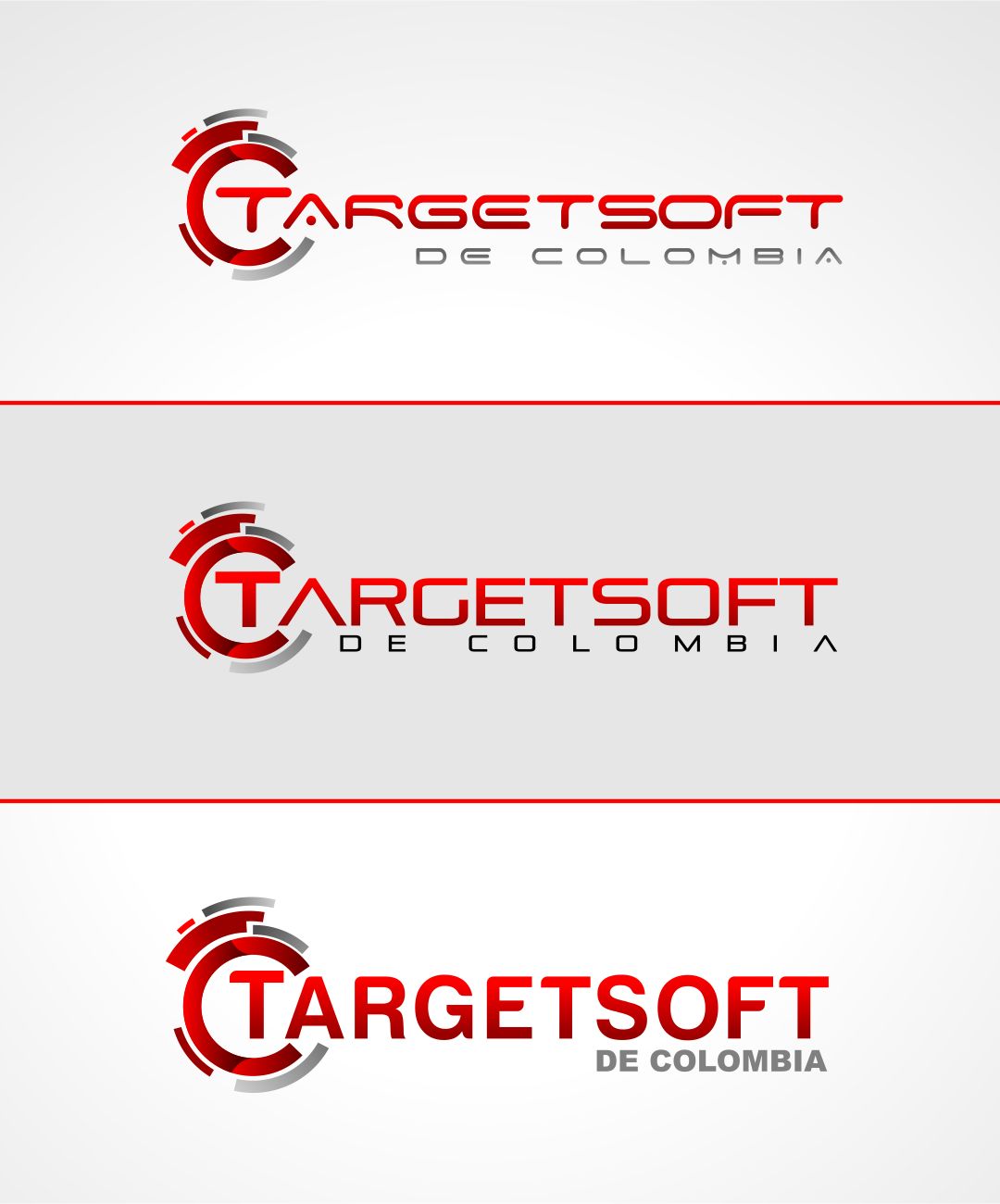 Diseño de Logo por *mary para TARGETSOFTDECOLOMBIA S.A.S | Diseño #9596842