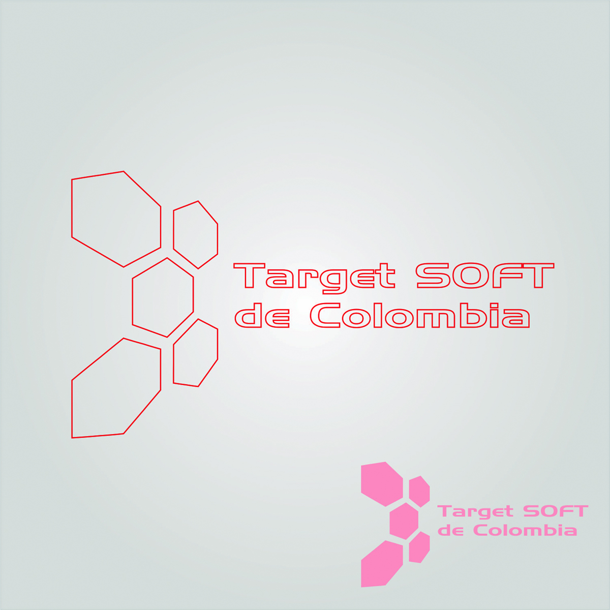 Diseño de Logo por graphicdesk.info para TARGETSOFTDECOLOMBIA S.A.S | Diseño #9587666