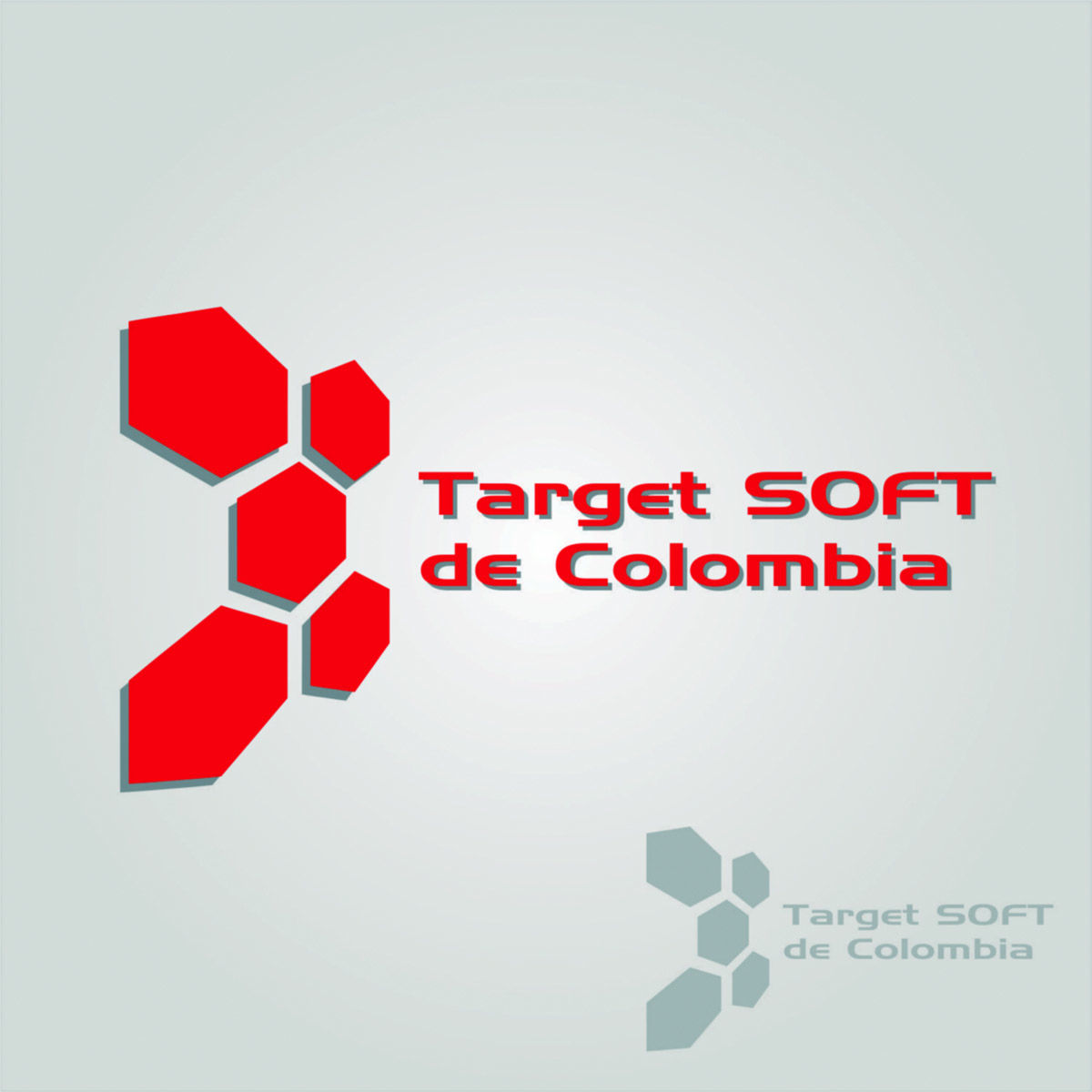 Diseño de Logo por graphicdesk.info para TARGETSOFTDECOLOMBIA S.A.S | Diseño #9587669