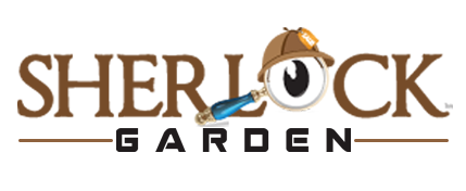 Logo Design by chetansoni for M.R Aesthetic | Design #9566983