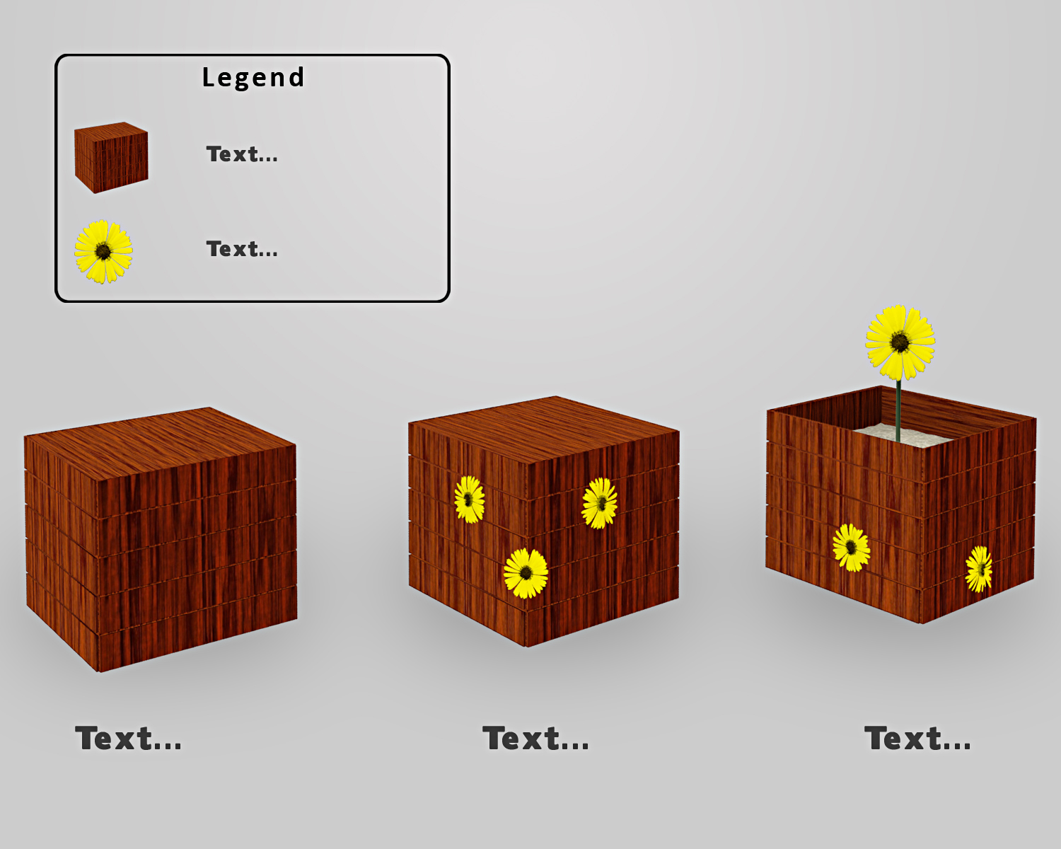 Illustration Design by Shaders99 for this project | Design #9653043