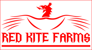 Logo Design by Ellison