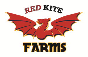 Logo Design by Radically Distinctive for Salt Gypsy Girls | Design: #9710915