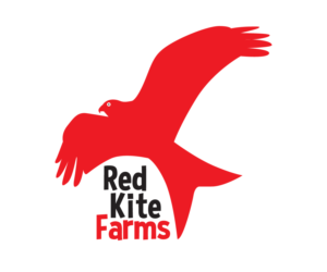 Logo Design by annersgriff for Salt Gypsy Girls | Design: #9680288