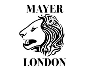 Logo Design by StelthDesignCo