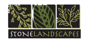 Logo Design by Tazbiddibo