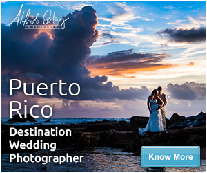 Destination Wedding Photographer | Banner-Design von WirePaper