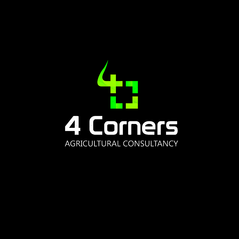 Logo Design by SRJ for 4 Corners Consulting | Design #2088164