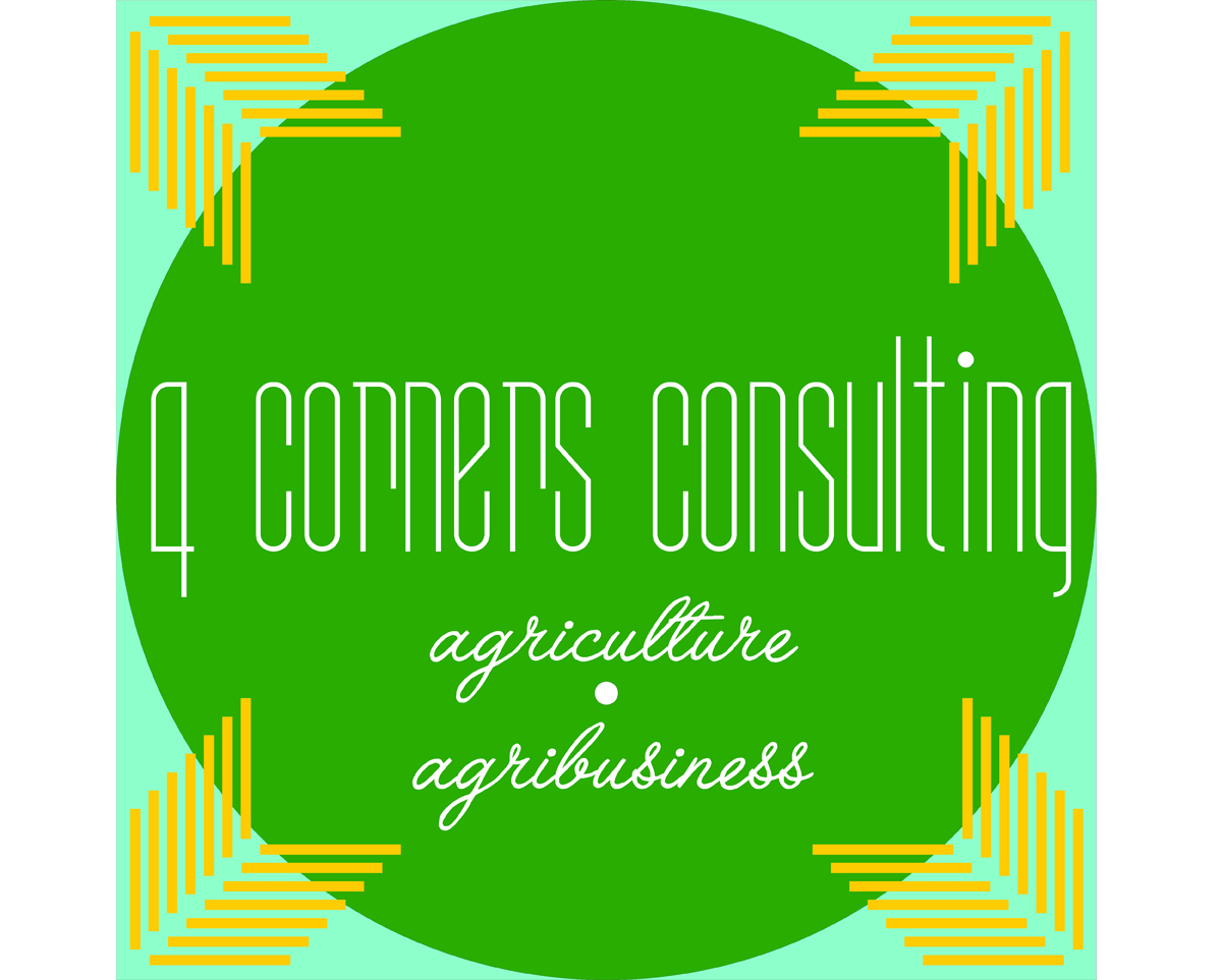 Logo Design by Irina Andrei for 4 Corners Consulting | Design #2088793