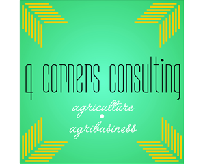 Design de Logo par Irina Andrei pour 4 Corners Consulting | Design : #2088797