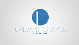 Logo Design by insignificant studio