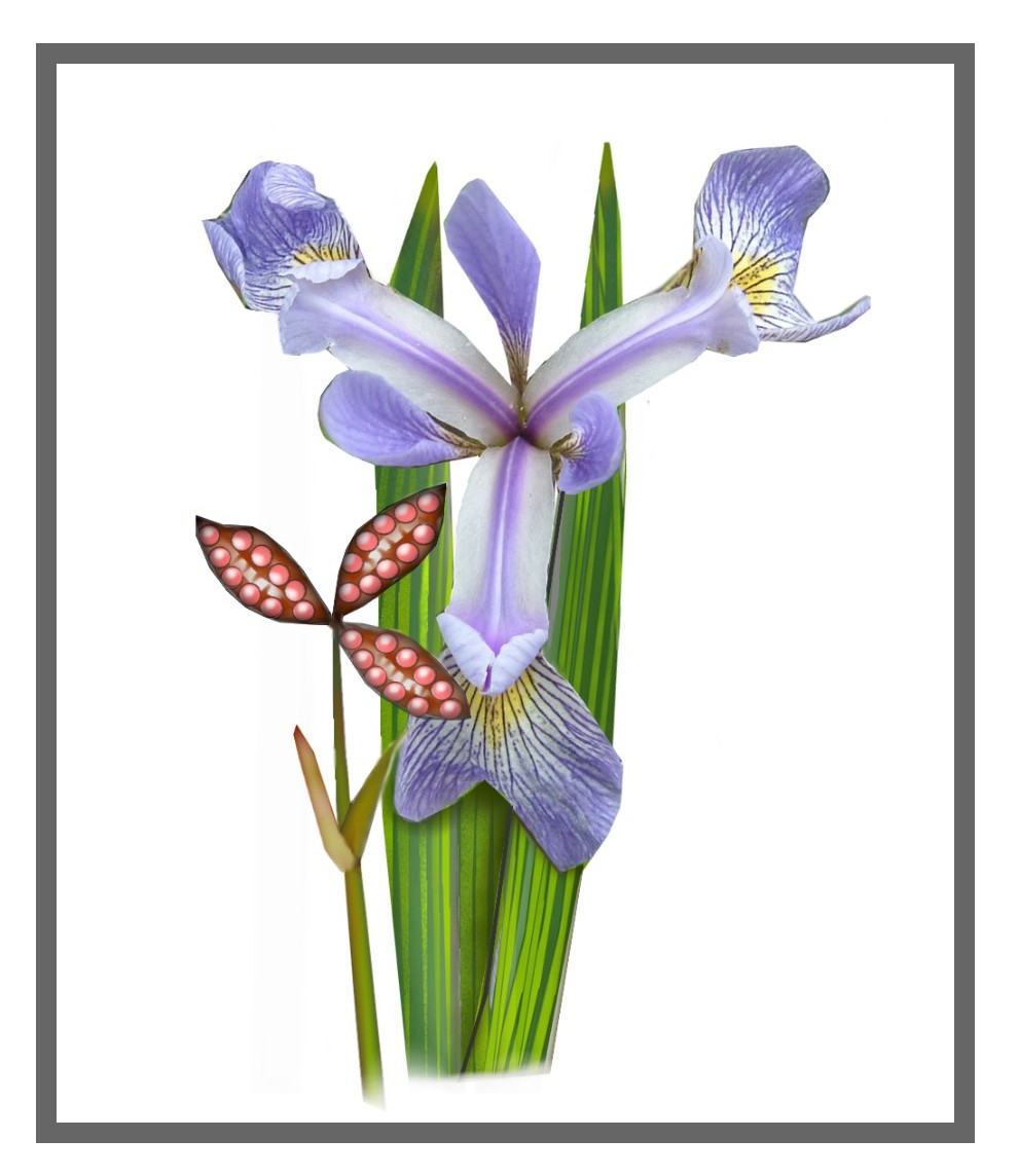 Design Graphique par designerone pour DesignCrowd (Community Contests) | Design #9602582