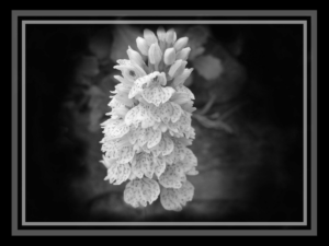 Photography by designerone