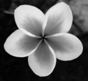 Photography by Lobna Saleh