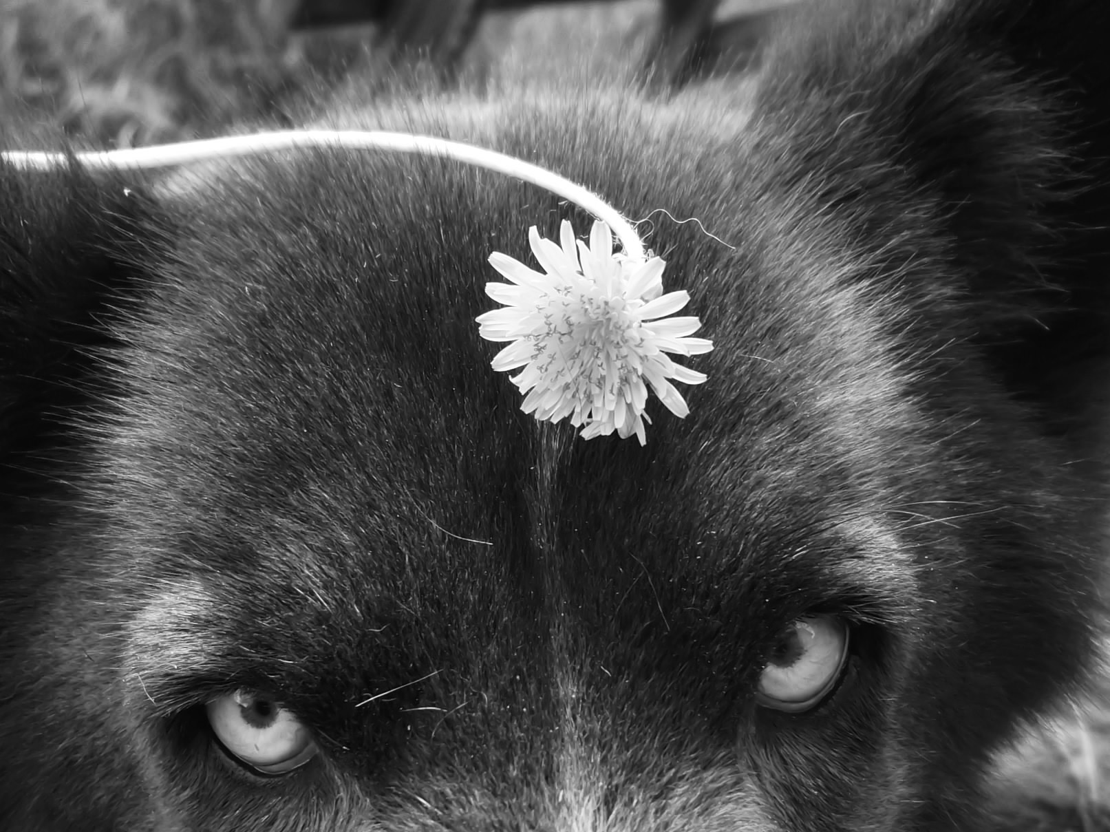Photographie par moisesf pour DesignCrowd (Community Contests) | Design #9584237