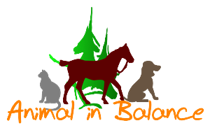 Logo Design by Rohan Patil