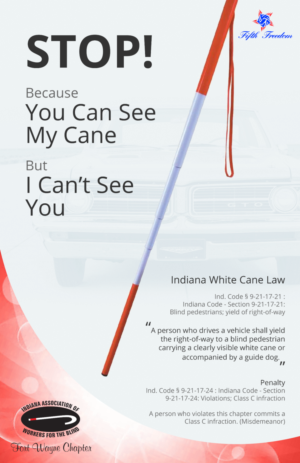 Poster Design by Imazing for Fifth Freedom | Design: #10859662
