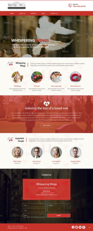 Diseño Web por pb para este proyecto | Diseño: #9584672