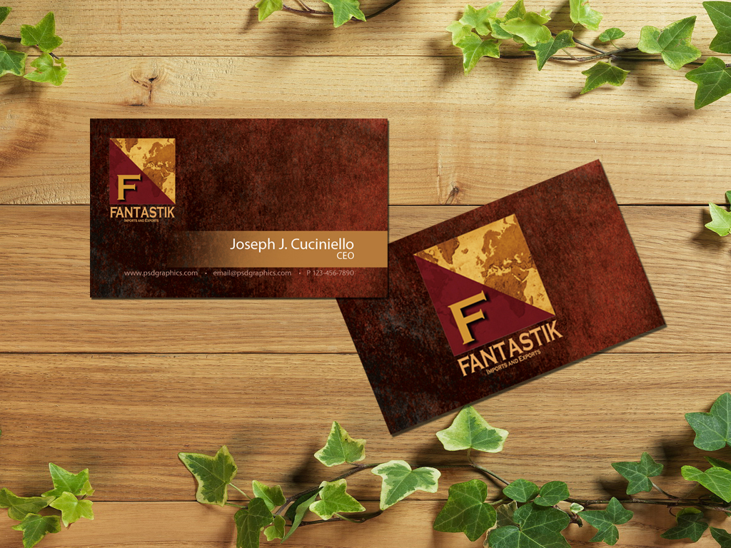 Business Card Design by smrzdesign for this project | Design #10378757