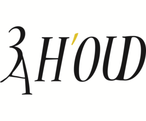 Logo Design by KaselGraphics