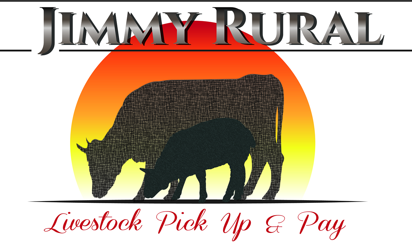 Logo Design by DLKlynn for this project | Design #9775193