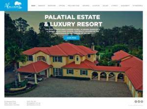 Web Design by designdruid