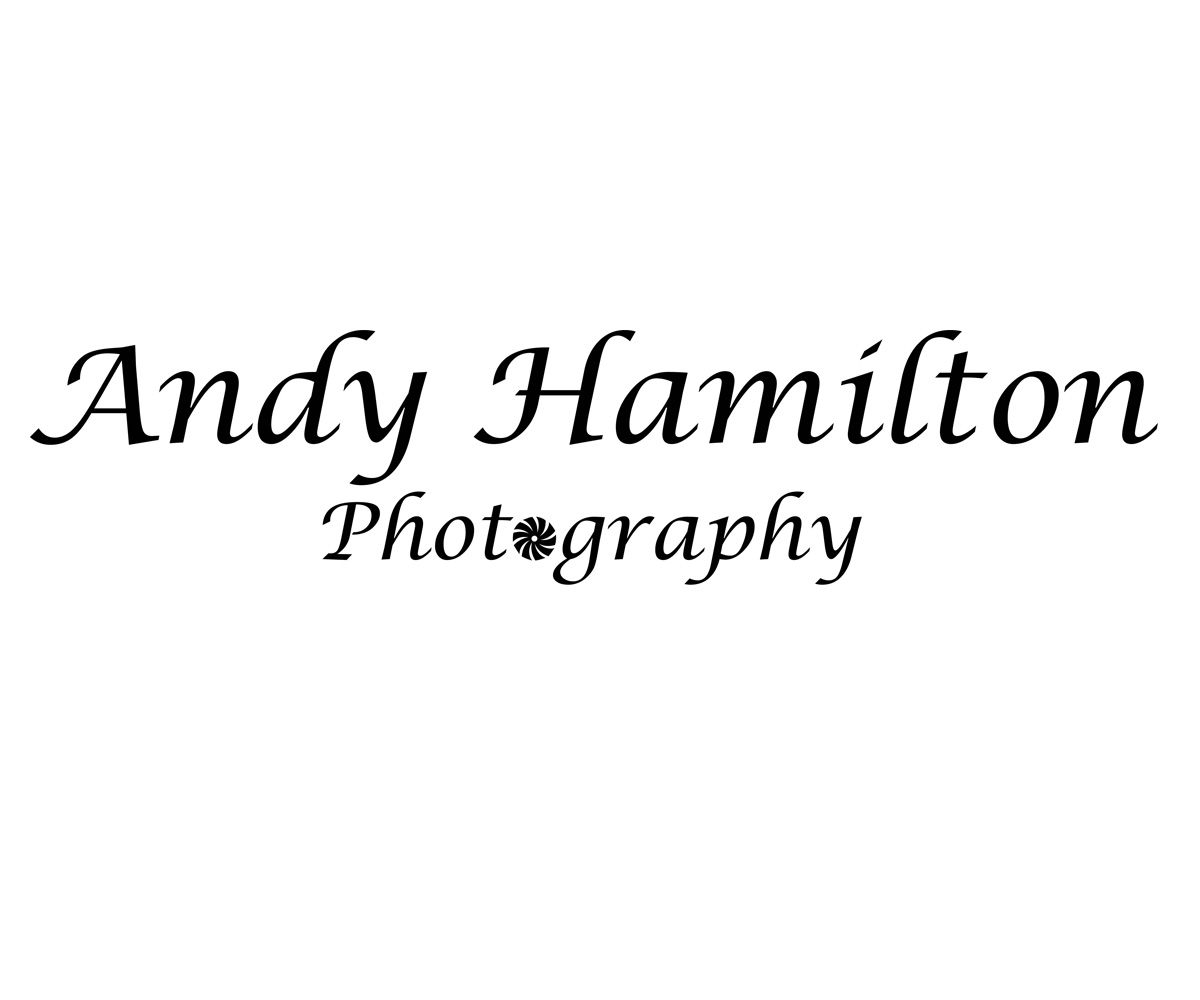 Logo Design by JonnyP for Andy Hamilton Photography | Design #2091396