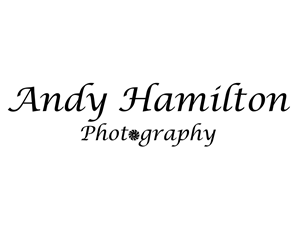 Logo Design by JonnyP