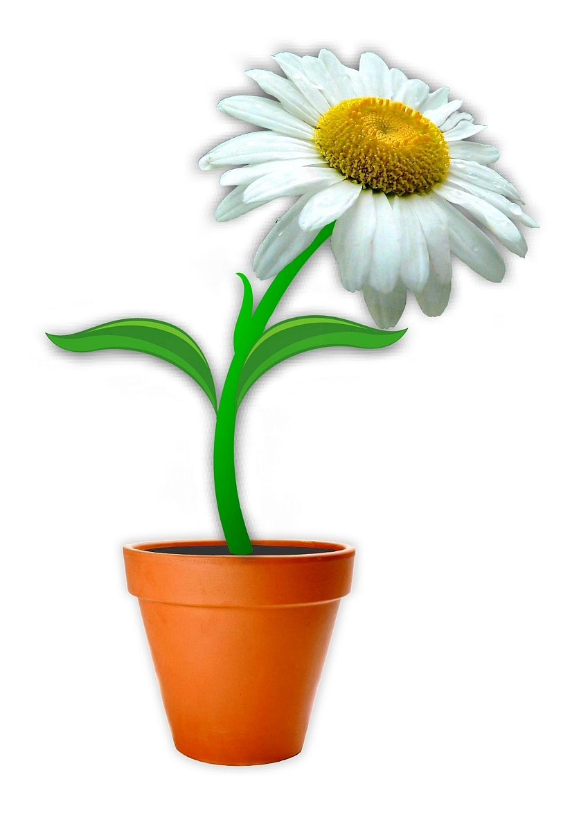 Vector Design by Greencorner for this project | Design #2106874