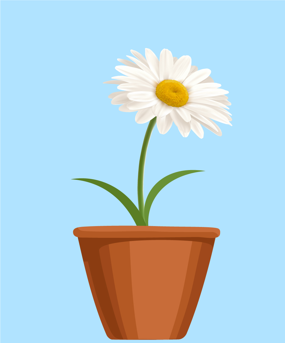 Vector Design by PixieWizard for this project | Design #2138256
