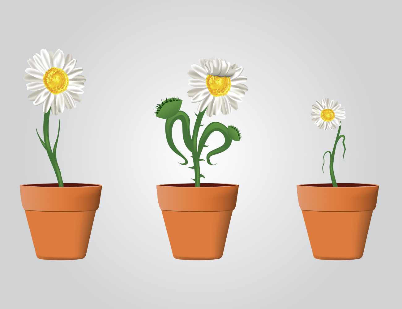 Vector Design by SciStudios for this project | Design #2116336