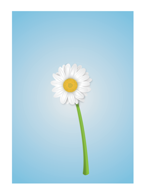 Vector Design by Saul Haros