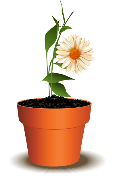 Vector Design by roopaljain for this project | Design #2101007