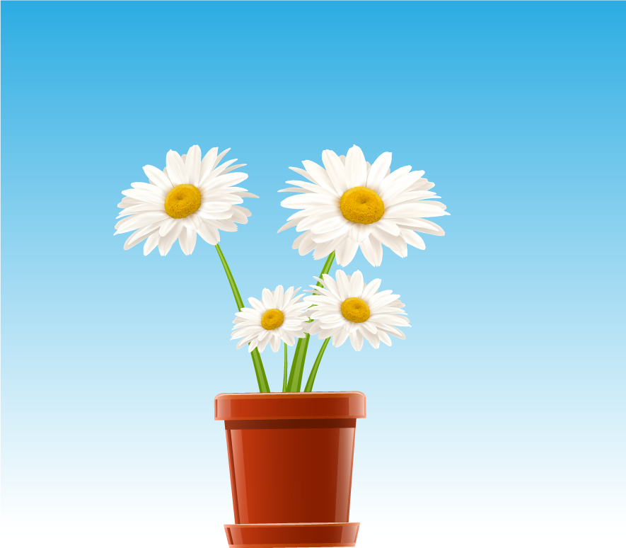 Vector Design by roopaljain for this project | Design #2101012
