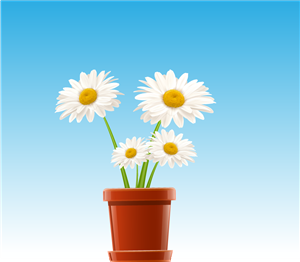 Vector Design by roopaljain for this project | Design: #2101012