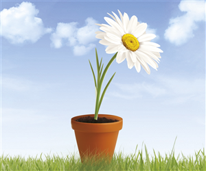 Design Vectoriel par Monsterish pour ce projet | Design #2120432