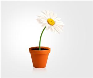 Design Vectoriel par Kyosei pour ce projet | Design #2092072
