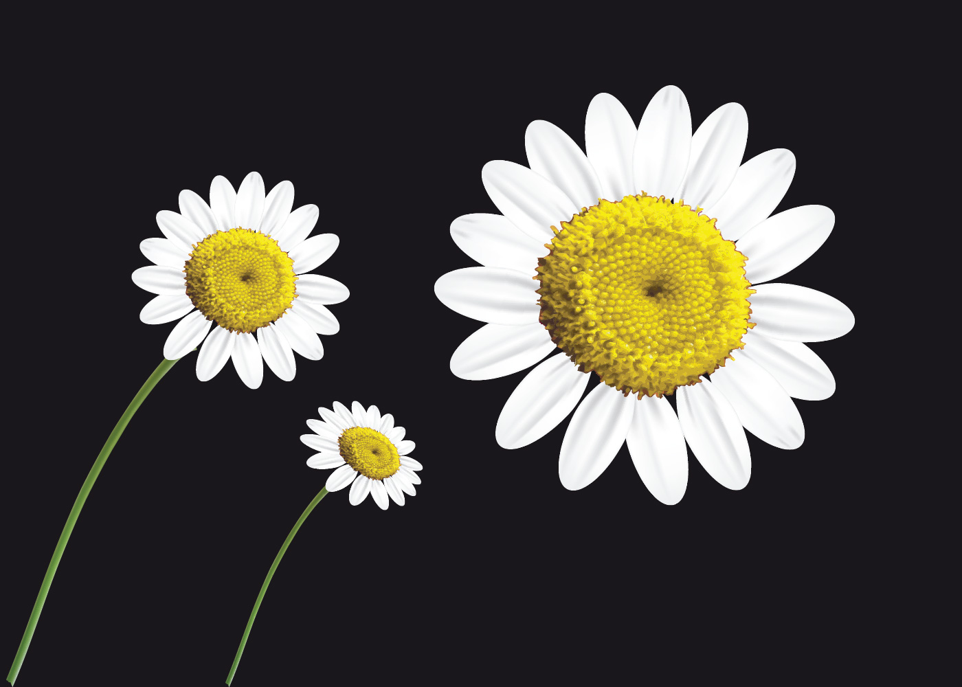 Vector Design by abdul700 for this project | Design #2137988