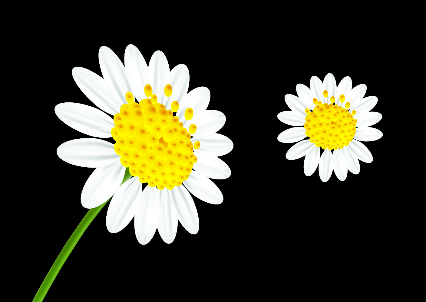 Vector Design by abdul700 for this project | Design #2138024