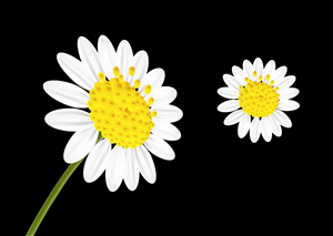 Vector Design by abdul700 for this project | Design: #2138024