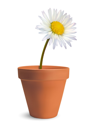 Vector Design by Robert R. for this project | Design: #2095932
