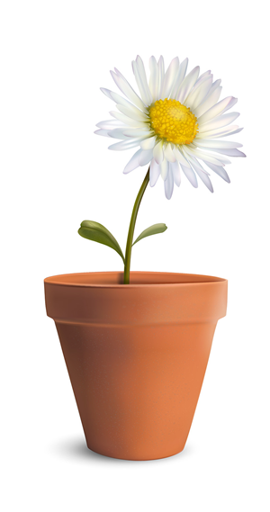 Vector Design by Robert R. for this project | Design: #2125730