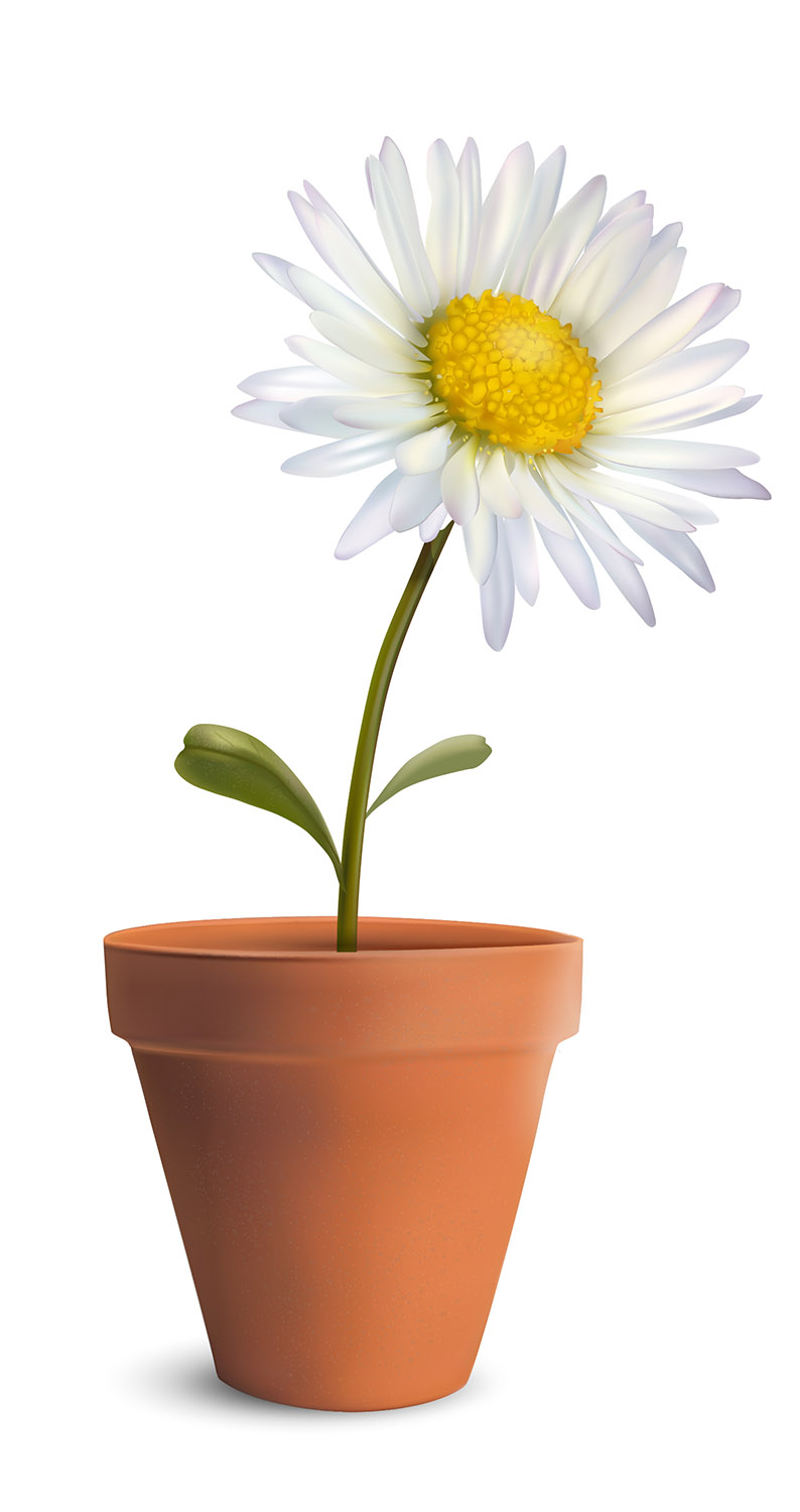 Vector Design by Robert R. for this project | Design: #2149508