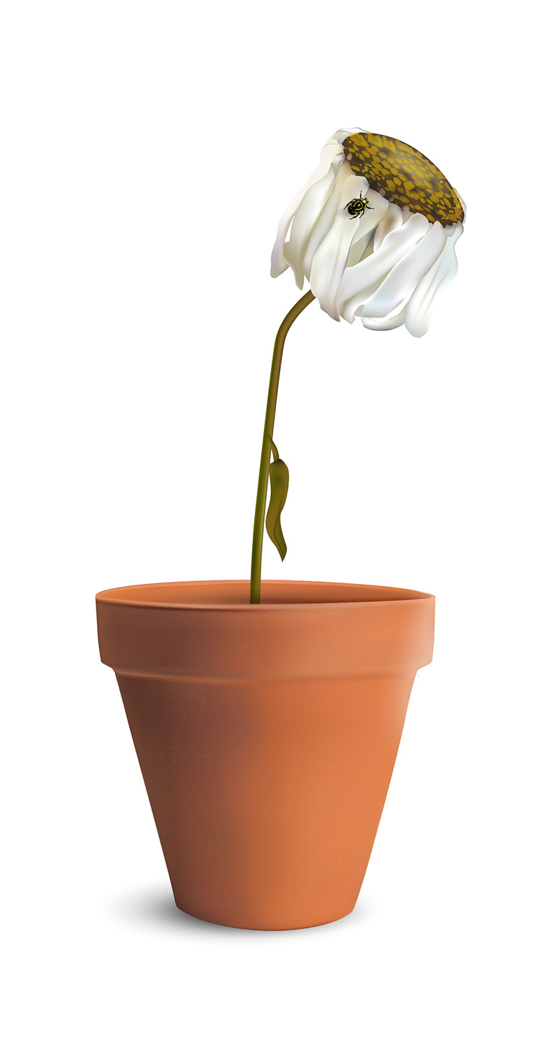 Vector Design by Robert R. for this project | Design #2160965