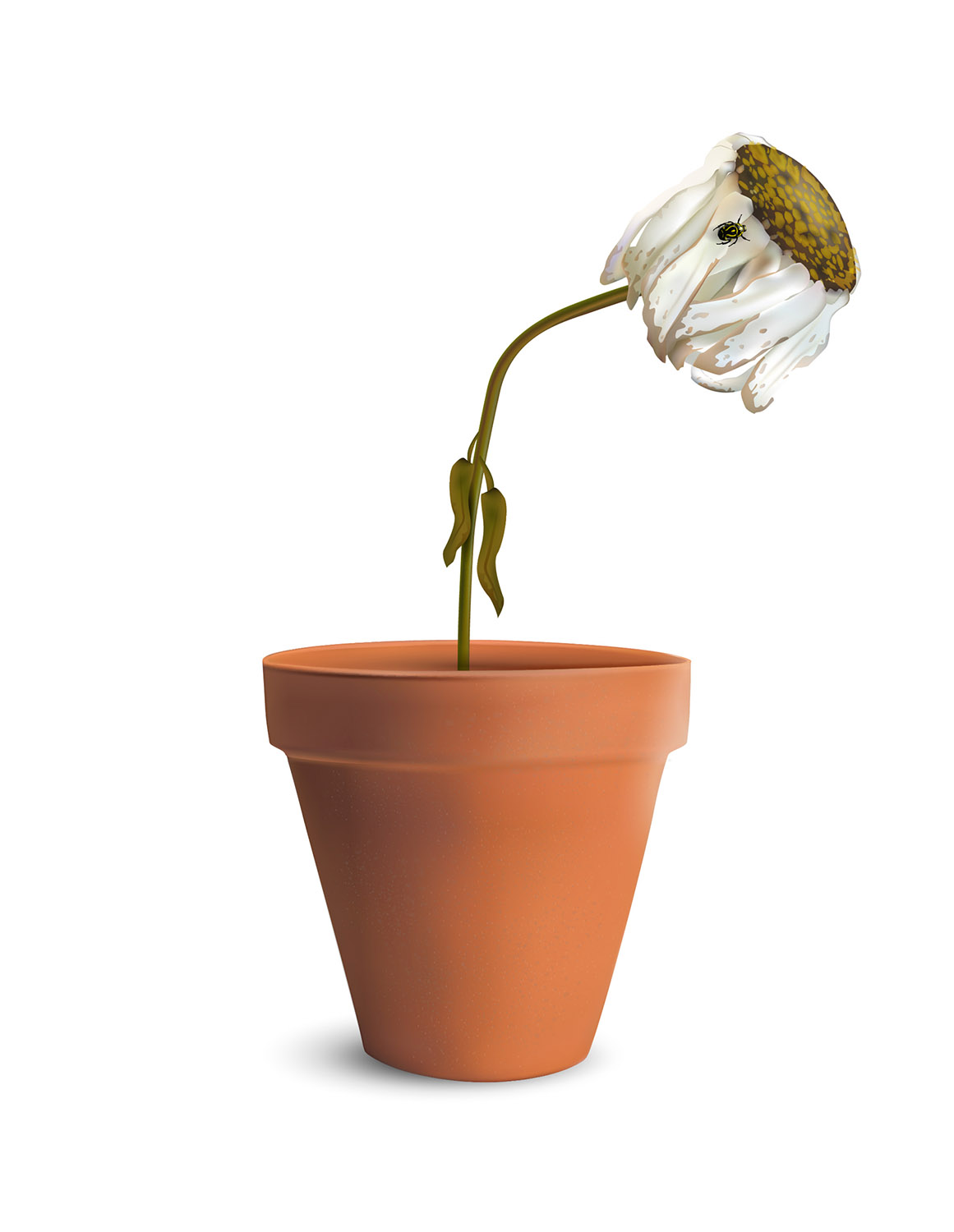 Diseño Vectorizado por Robert R. para este proyecto | Diseño #2197874